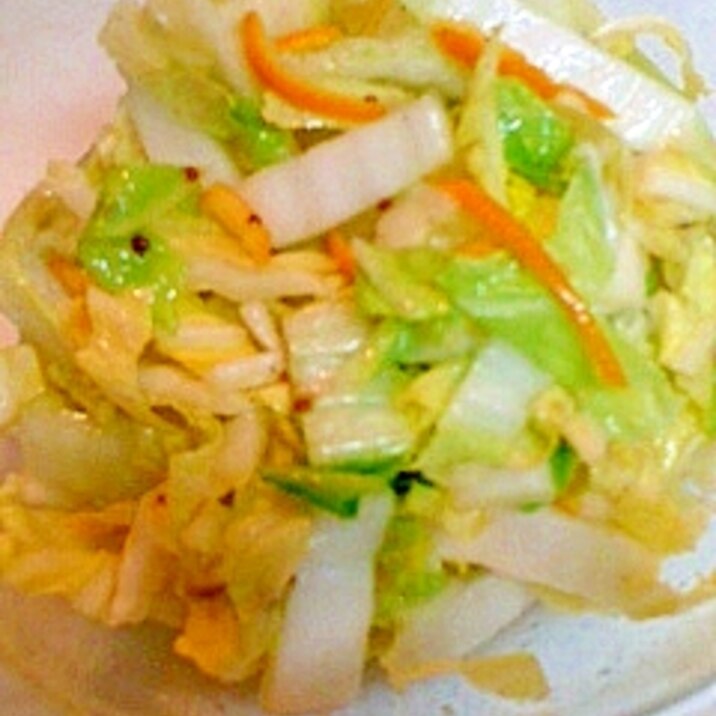 みかんと白菜のサラダ